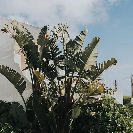 Вилла Ocean View Эрисейра