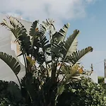Villa Ocean View Ericeira