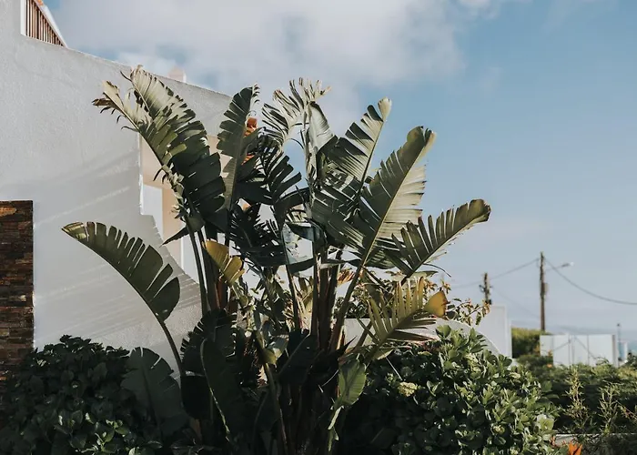 Βίλα Ocean View Ericeira